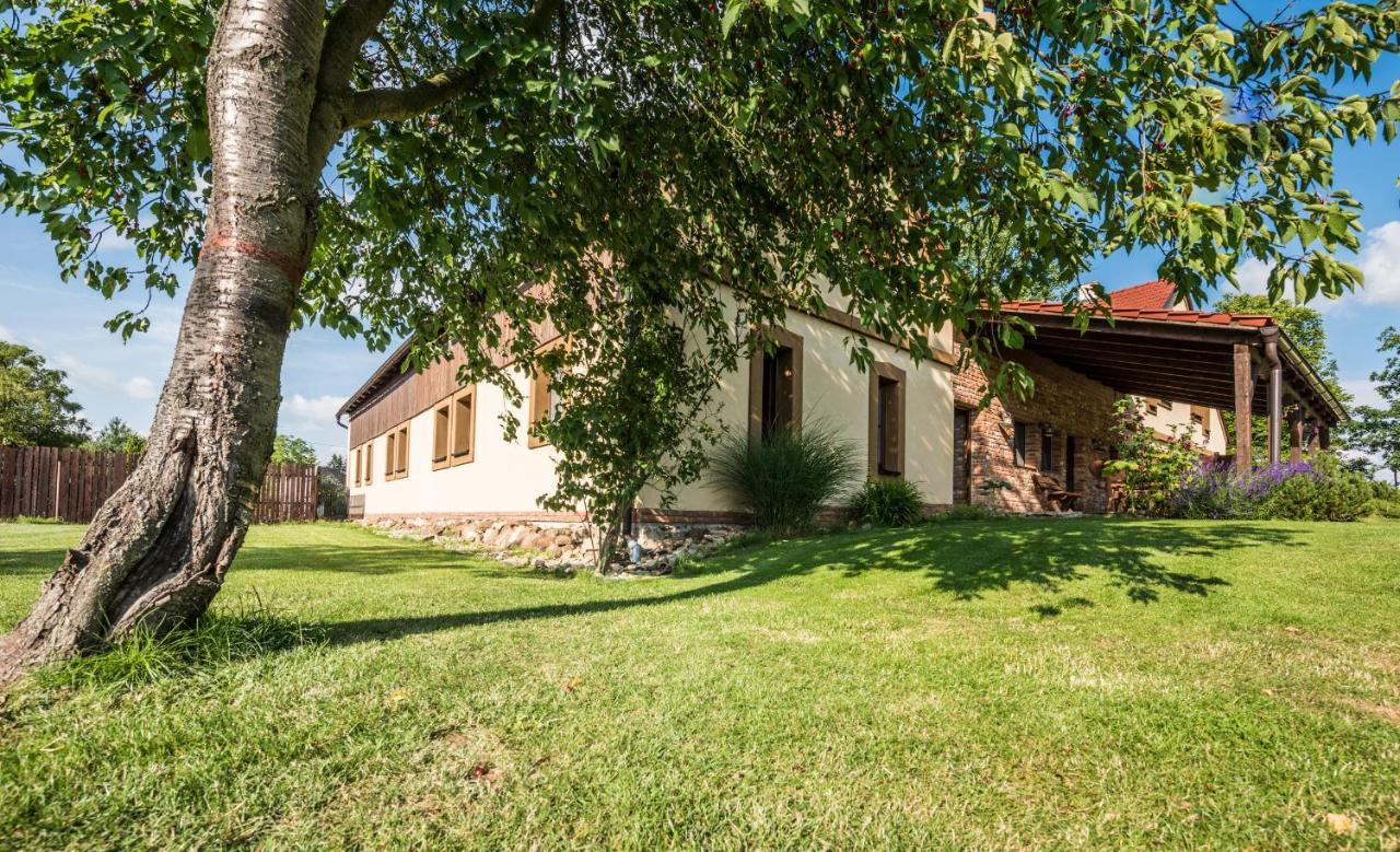 Penzion U Lisky Jarosov nad Nezarkou Exterior photo